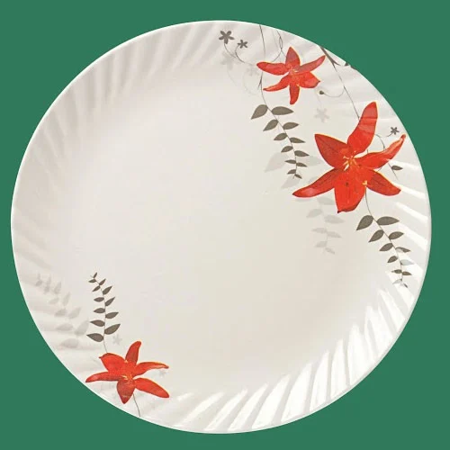  Designer Melamine Plates SET