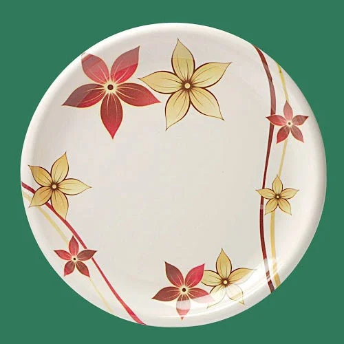  Designer Melamine Plates SET