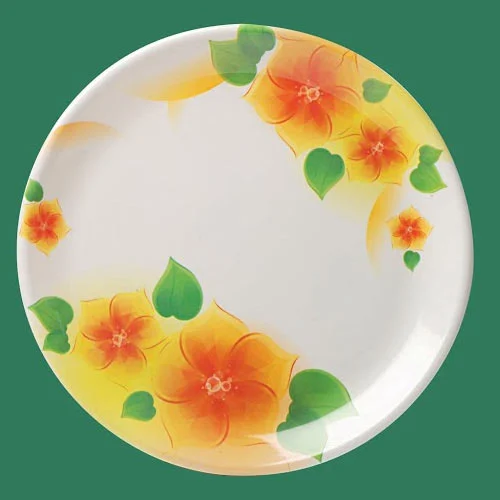  Designer Melamine Plates SET