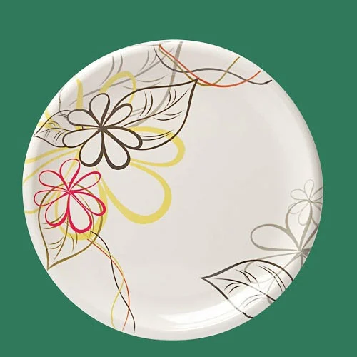  Designer Melamine Plates SET