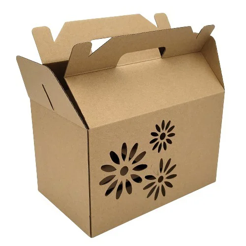 Brown Paper Printed Carton Box