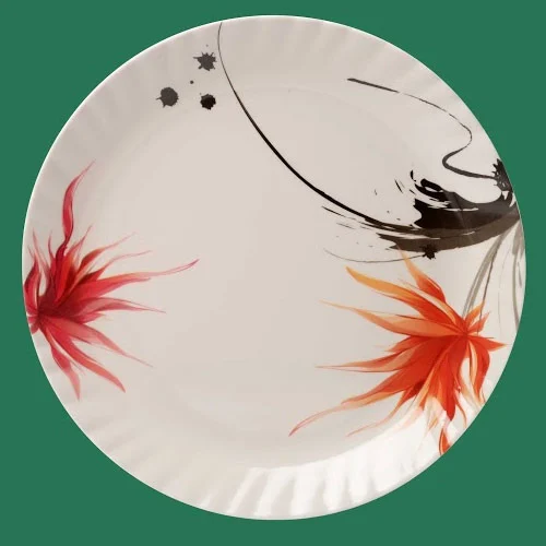  Designer Melamine Plates SET